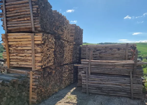 Pali di castagno - immagine 5